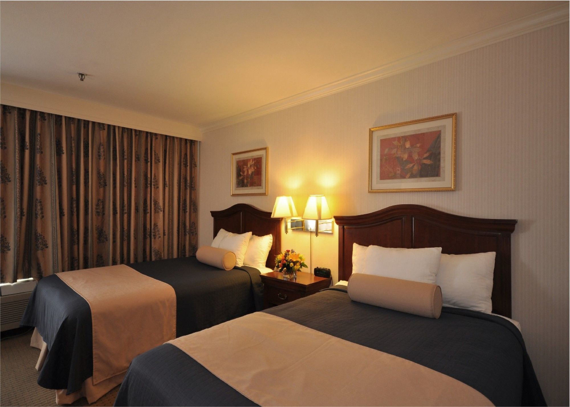 Best Western At O'Hare Rosemont Szoba fotó
